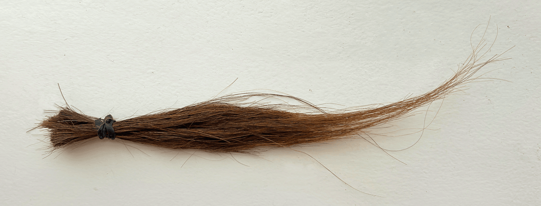 A lock of hair from a chestnut horse tied with an elastic band