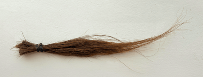 A lock of hair from a chestnut horse tied with an elastic band