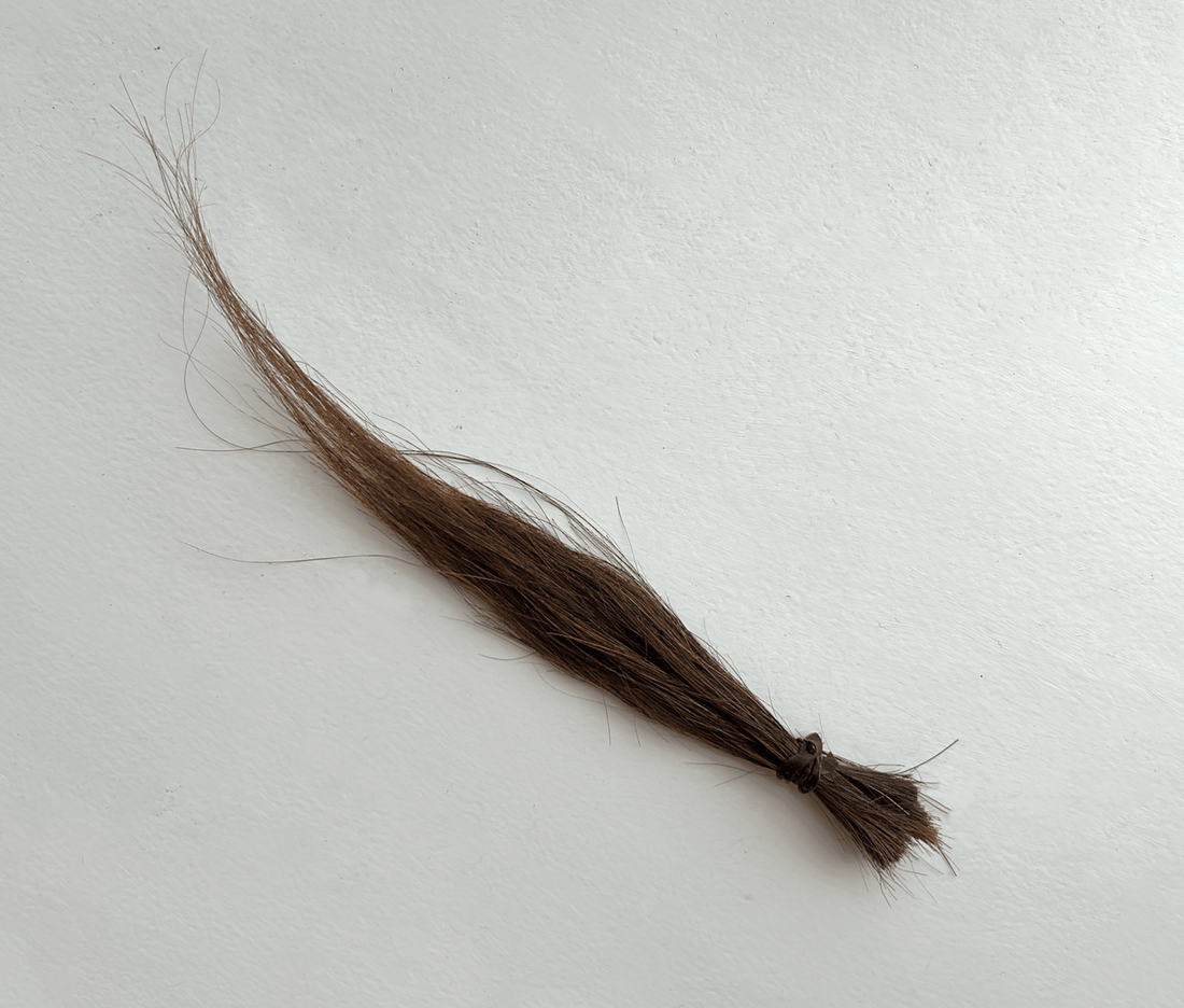 A lock of brown horse hair tied with an elastic, laid on a white table