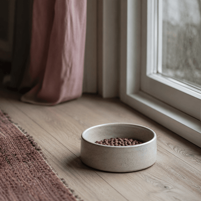 A pet food bowl on a floor beside a window