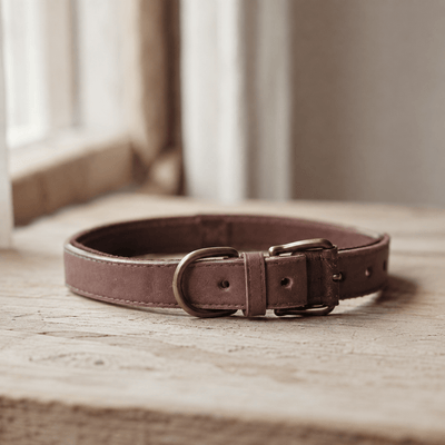An empty dog collar folded on a pale wooden table