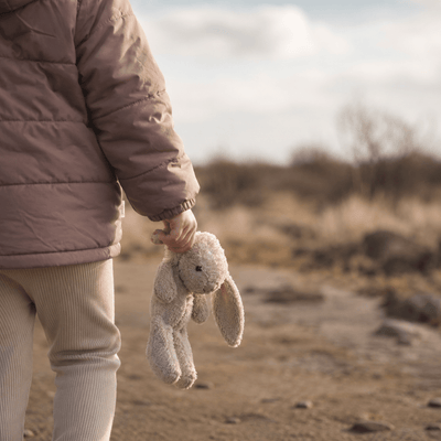 A child's hand holding a small soft toy, seen from behind